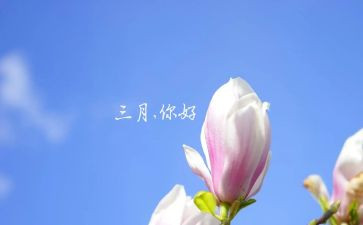 三月份销售工作总结5篇