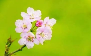 三月份的工作总结模板7篇