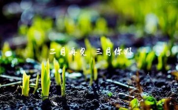 小学三月份班主任工作计划6篇