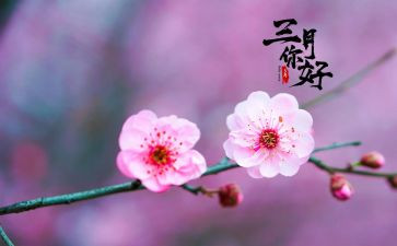 三月份的工作总结8篇