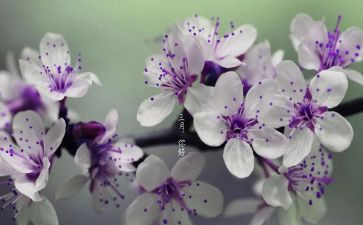 2024年二三月思想汇报8篇