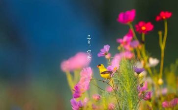 三月份的个人工作总结7篇
