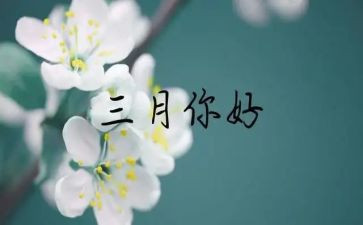 三月幼儿教师工作总结5篇