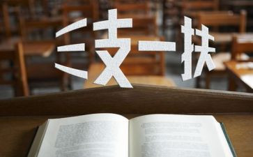 三支一扶工作个人工作总结6篇