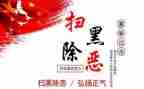 年度扫黑除恶工作总结6篇