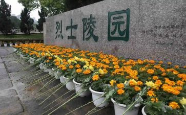 甘扫墓的心得体会8篇