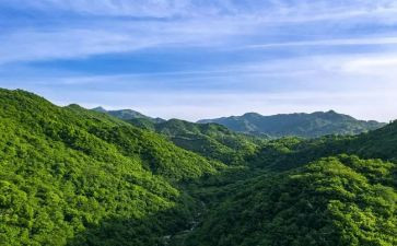 山墙的安妮的读后感参考7篇