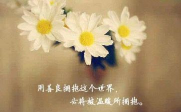 营养改善工作总结8篇
