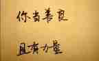友善之星事迹8篇