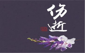 读伤逝的心得体会8篇