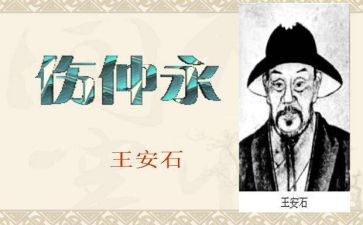 伤仲永读后感5篇