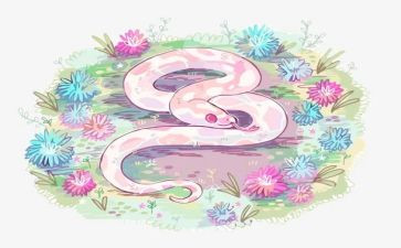 画小蛇教案7篇