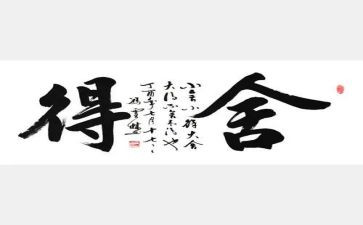 舍得读后感7篇