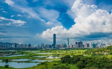我的深圳情作文7篇