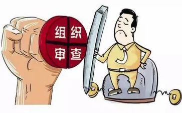 审查报告和调查报告6篇