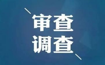 审查调查工作安全心得体会7篇