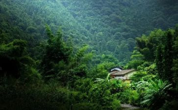 记忆深处的人作文400字8篇