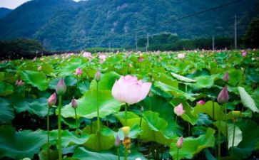 院生活部工作总结个人总结最新8篇