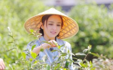 生活部的述职报告范文8篇