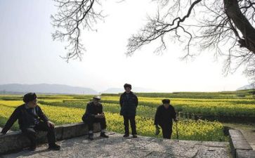 生活委述职报告范文8篇