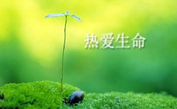 生命的心得通用7篇