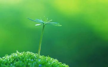 生命教育讲话稿5篇