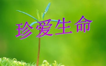 爱生命作文500字优秀7篇
