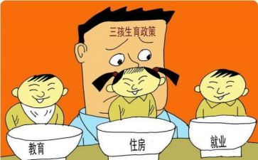 计划生育个人总结6篇