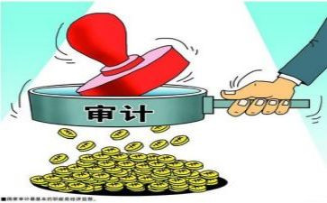 审计工作个人年度总结优秀5篇