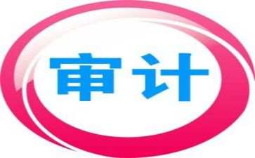 公司审计工作总结8篇