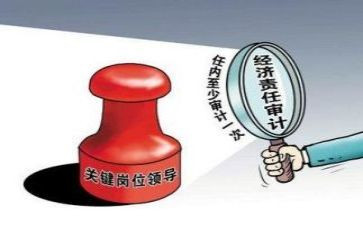 银行审计工作总结个人总结6篇