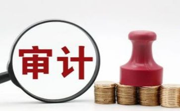 审计员年终总结范文7篇