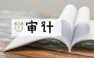 审计半年工作总结8篇