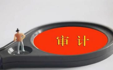 审计员年终总结范文推荐5篇