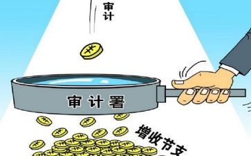 审计半年工作总结优秀5篇
