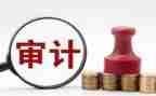 审计员年终总结范文7篇