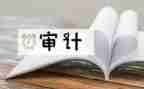 审计半年工作总结8篇
