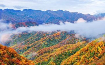 神农架心得体会7篇