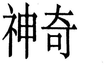 作文神奇的探险之旅450字7篇
