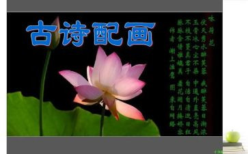 诗读后感800字推荐8篇