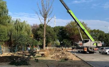 施工年度工作总结参考7篇
