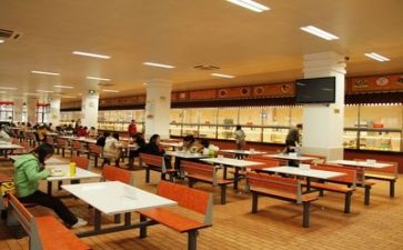 食堂工作自查报告8篇