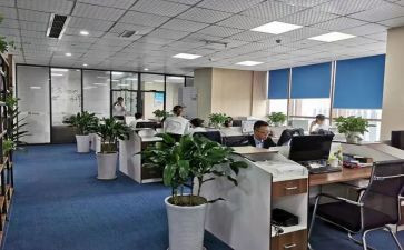 社会事务股工作计划6篇