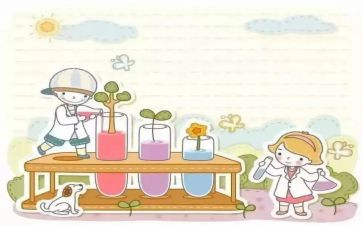我做了一个小实验的优秀作文7篇