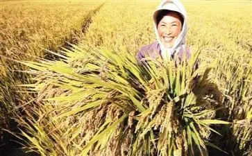 收获与心得体会精选5篇