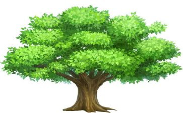 植树问题例2教案8篇