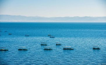 流水线年终总结8篇