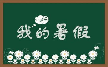2024年暑假调查报告6篇