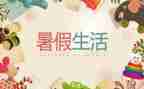 2024年暑假调查报告优秀5篇
