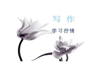 抒情的作文600字精选8篇